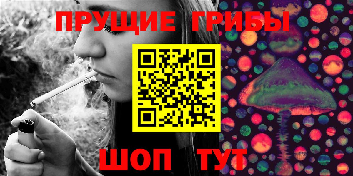 Бийск  Галлюциногенные грибы GOLDEN TEACHER  Вход с VPN 